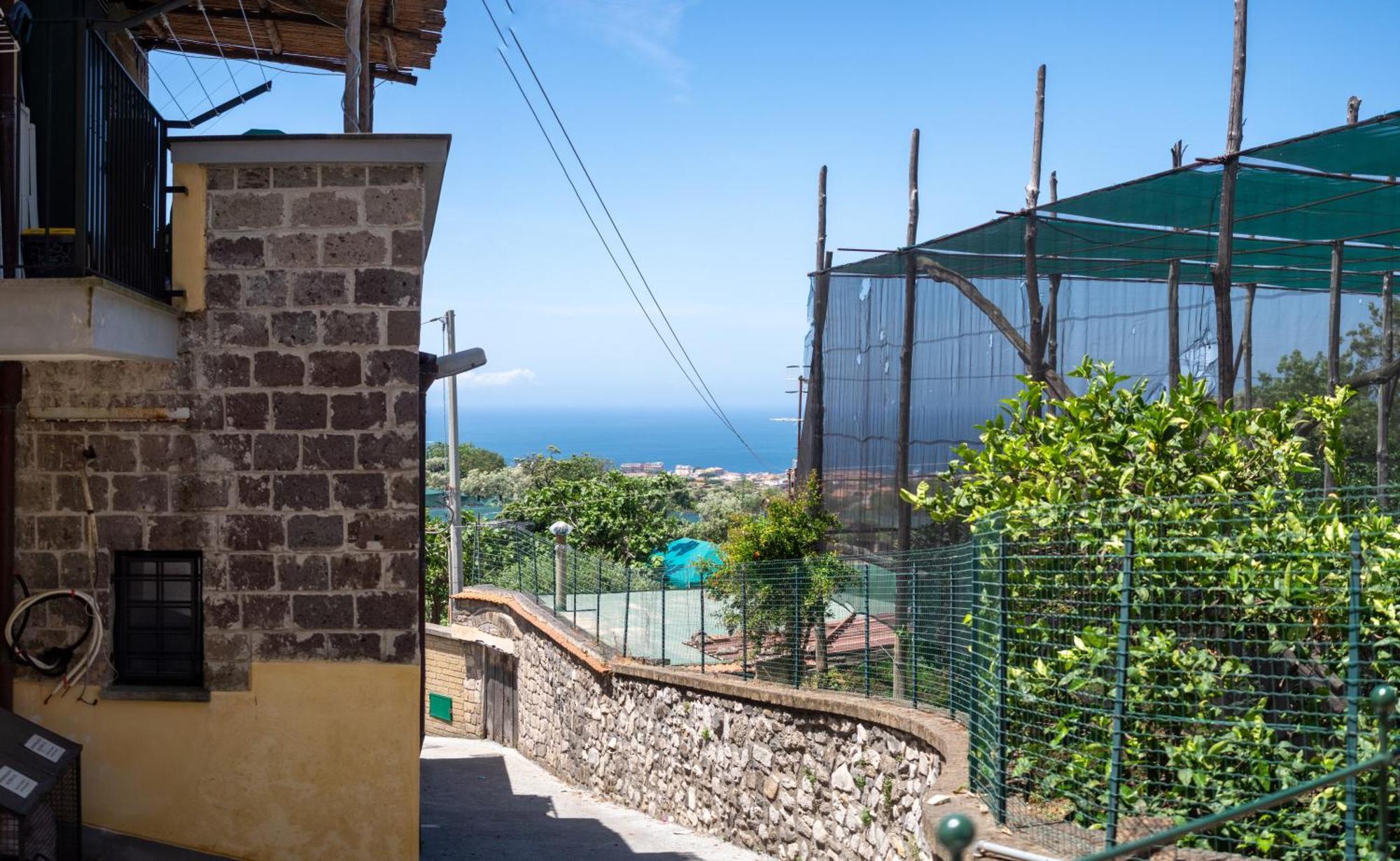 Antica Residenza La Vela Meta Quarto foto